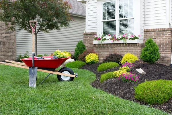 Reliable landscape designer